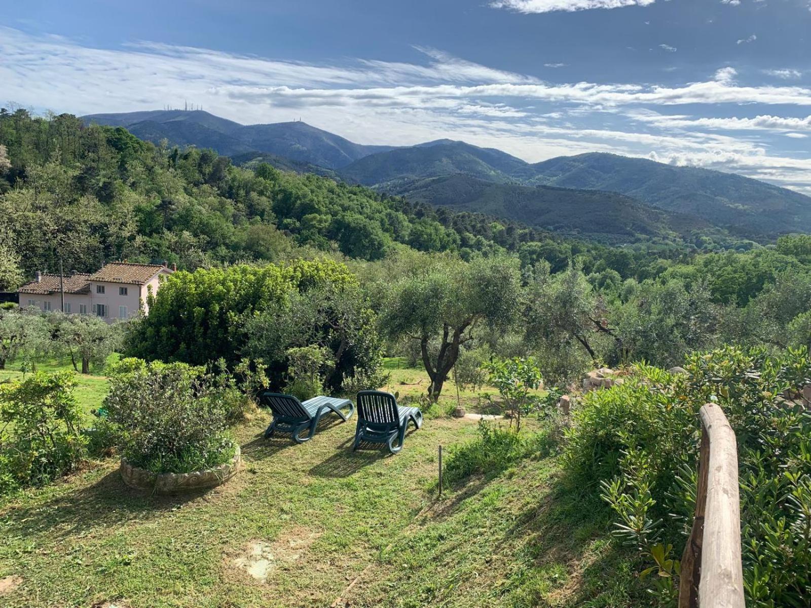 La Capanna Di Arturo Piano Terra Villa Capannori Bagian luar foto