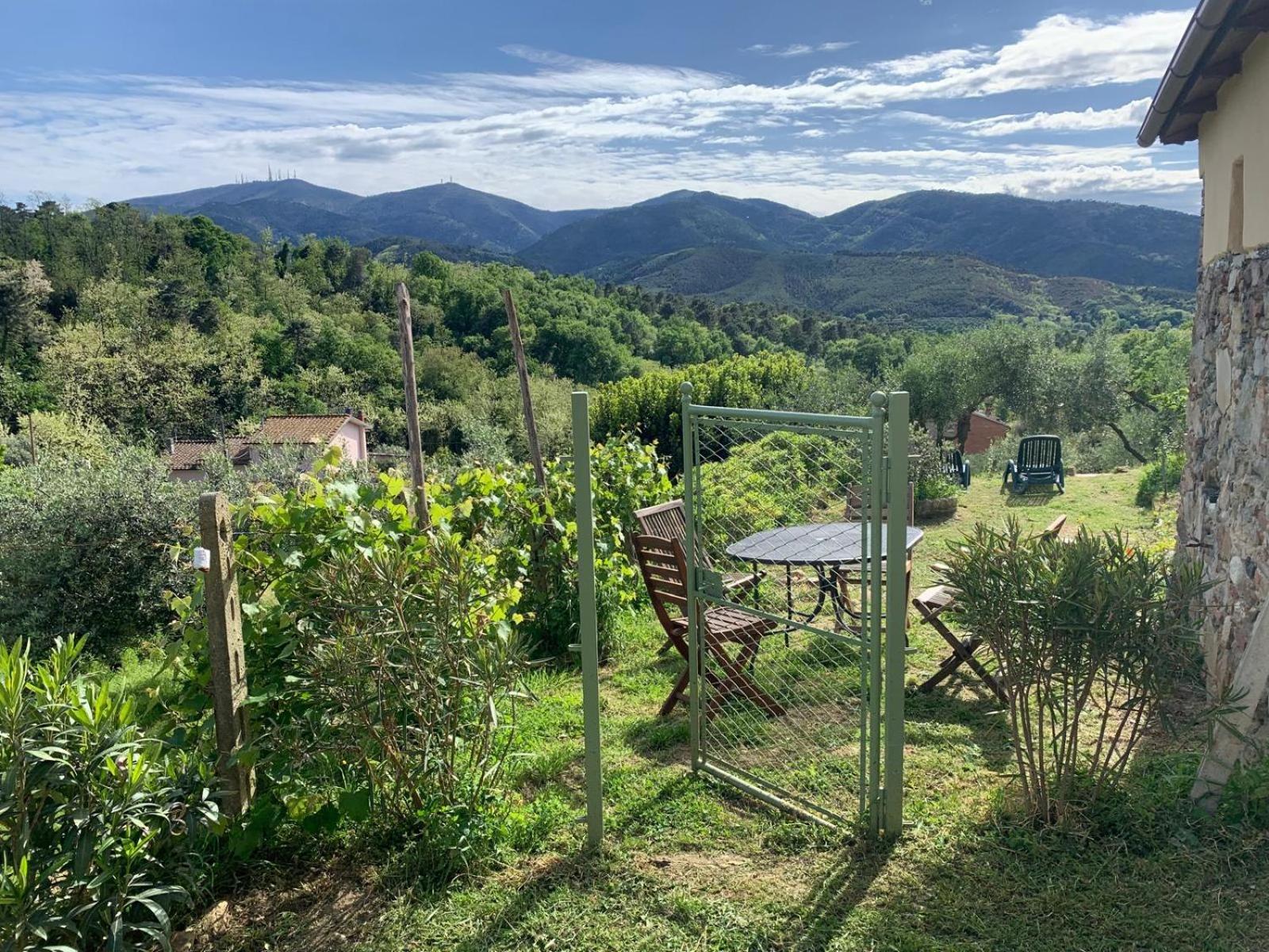 La Capanna Di Arturo Piano Terra Villa Capannori Bagian luar foto